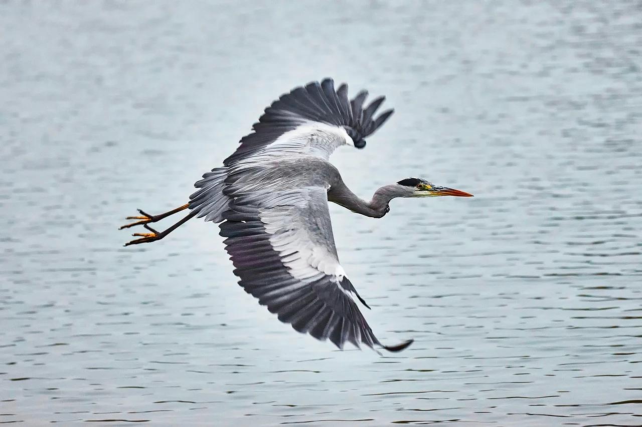 1020期：历史上的今天和生活冷知识