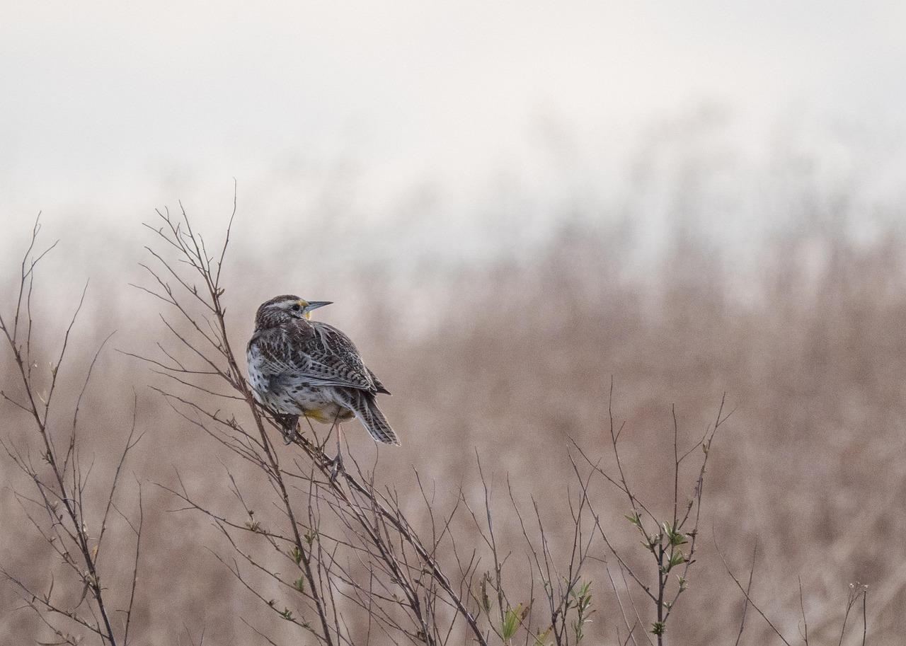 10月20日，周日，每天60秒读懂世界！