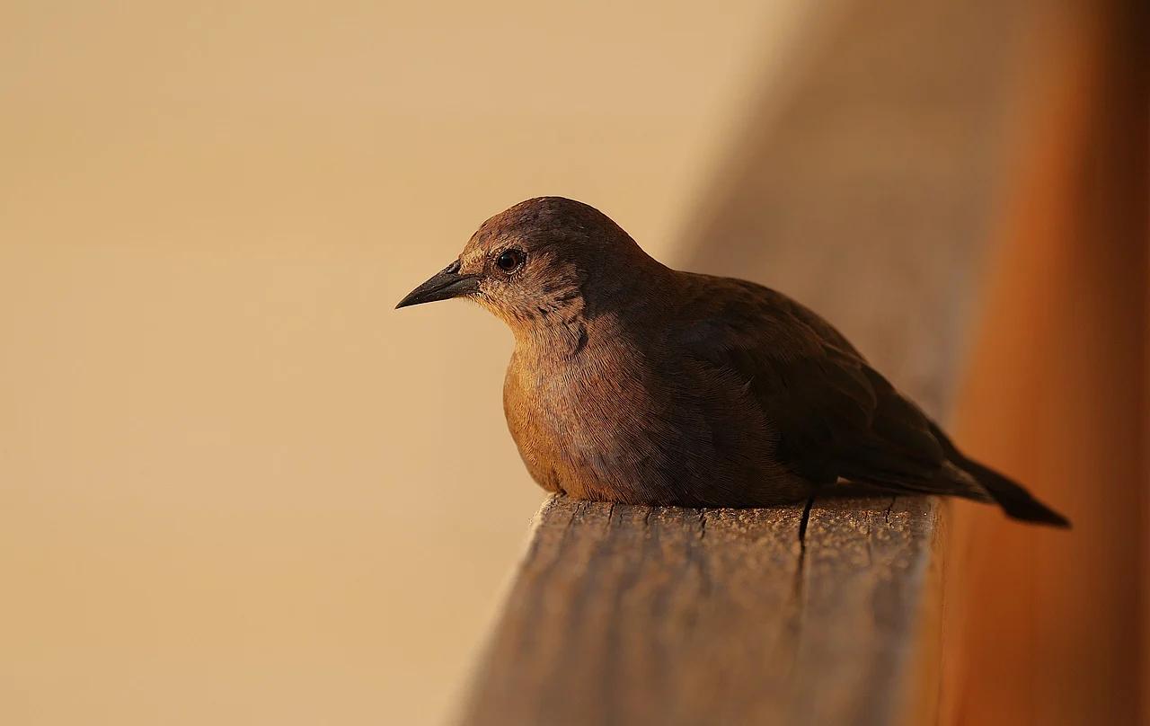 2024年8月12日，历史上的今天和生活冷知识