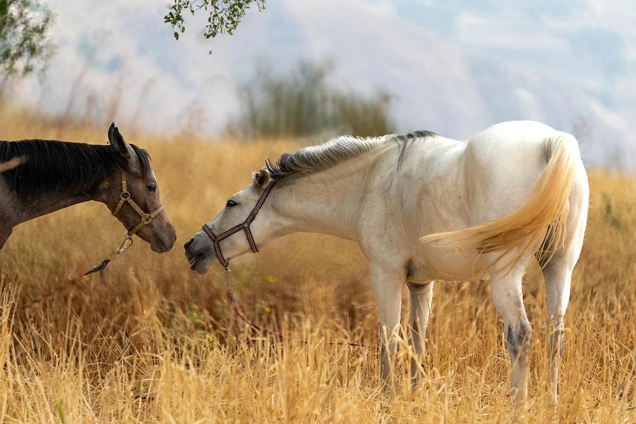 8月12日，星期一，每天60秒读懂世界！